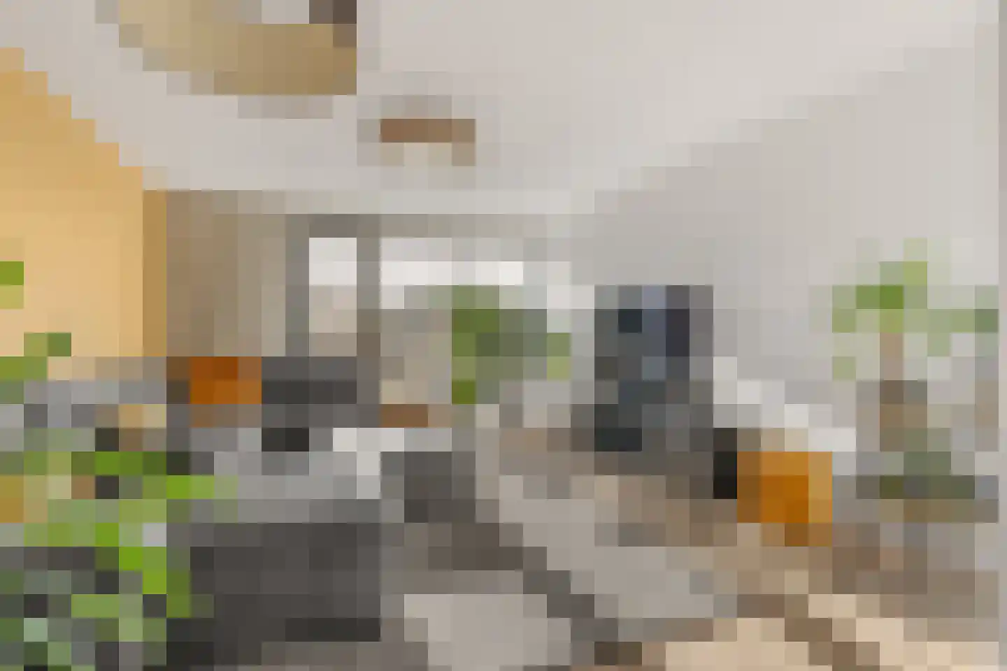 Brugweg 14 Waddinxveen thumbnail 16