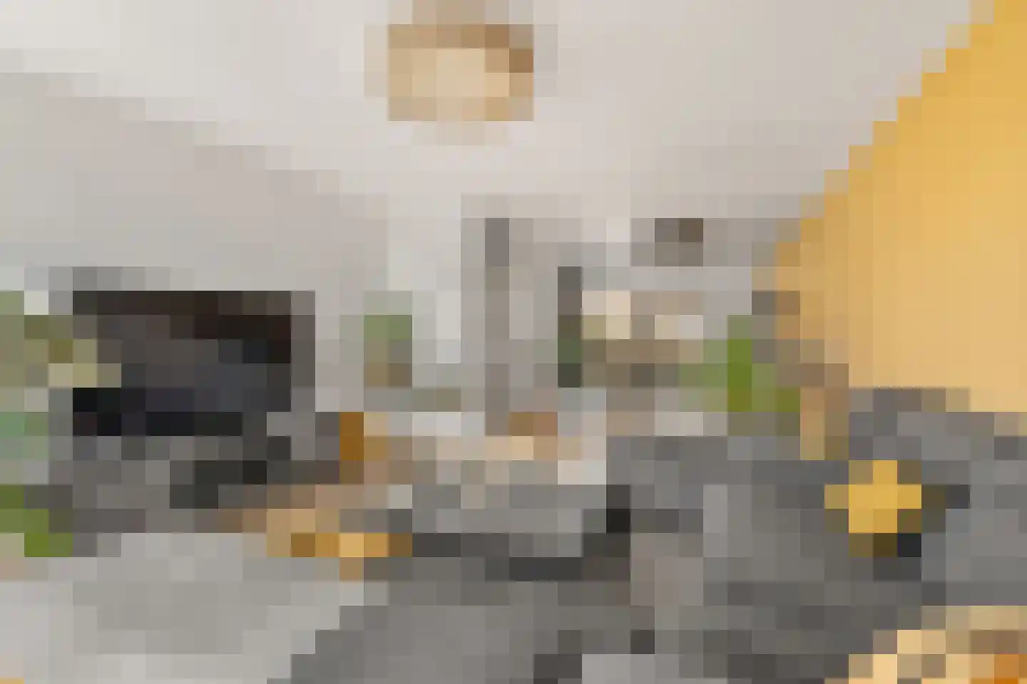 Brugweg 14 Waddinxveen thumbnail 18