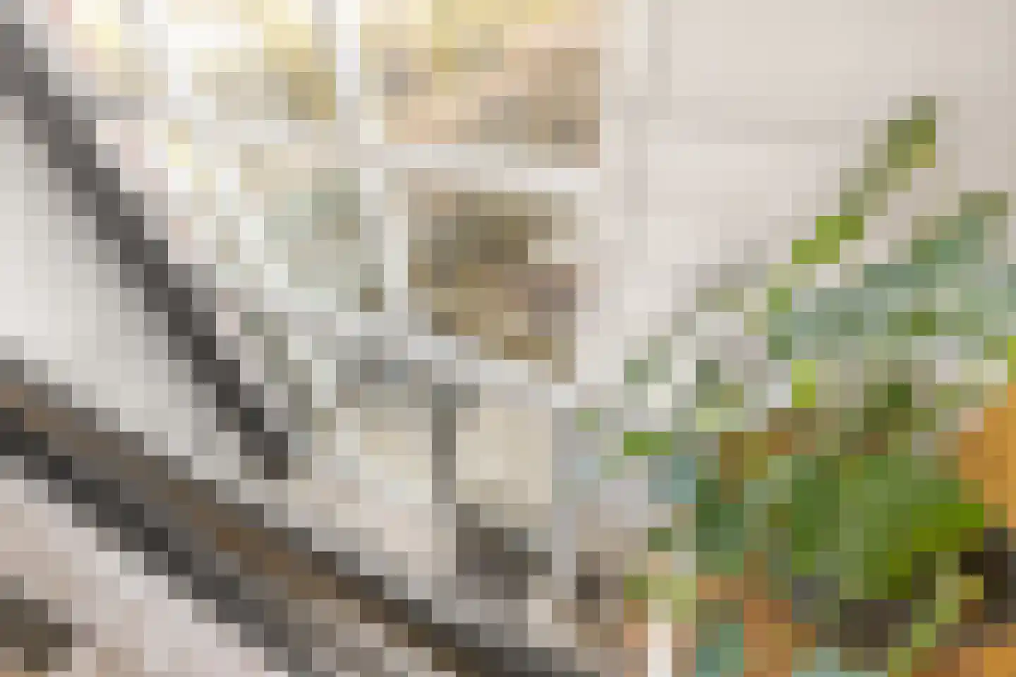 Brugweg 14 Waddinxveen thumbnail 20
