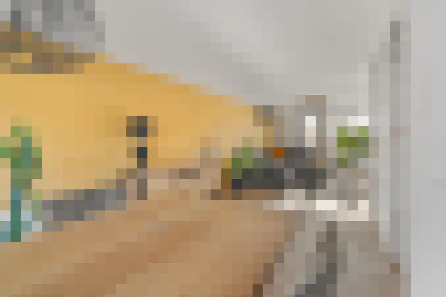 Brugweg 14 Waddinxveen thumbnail 21