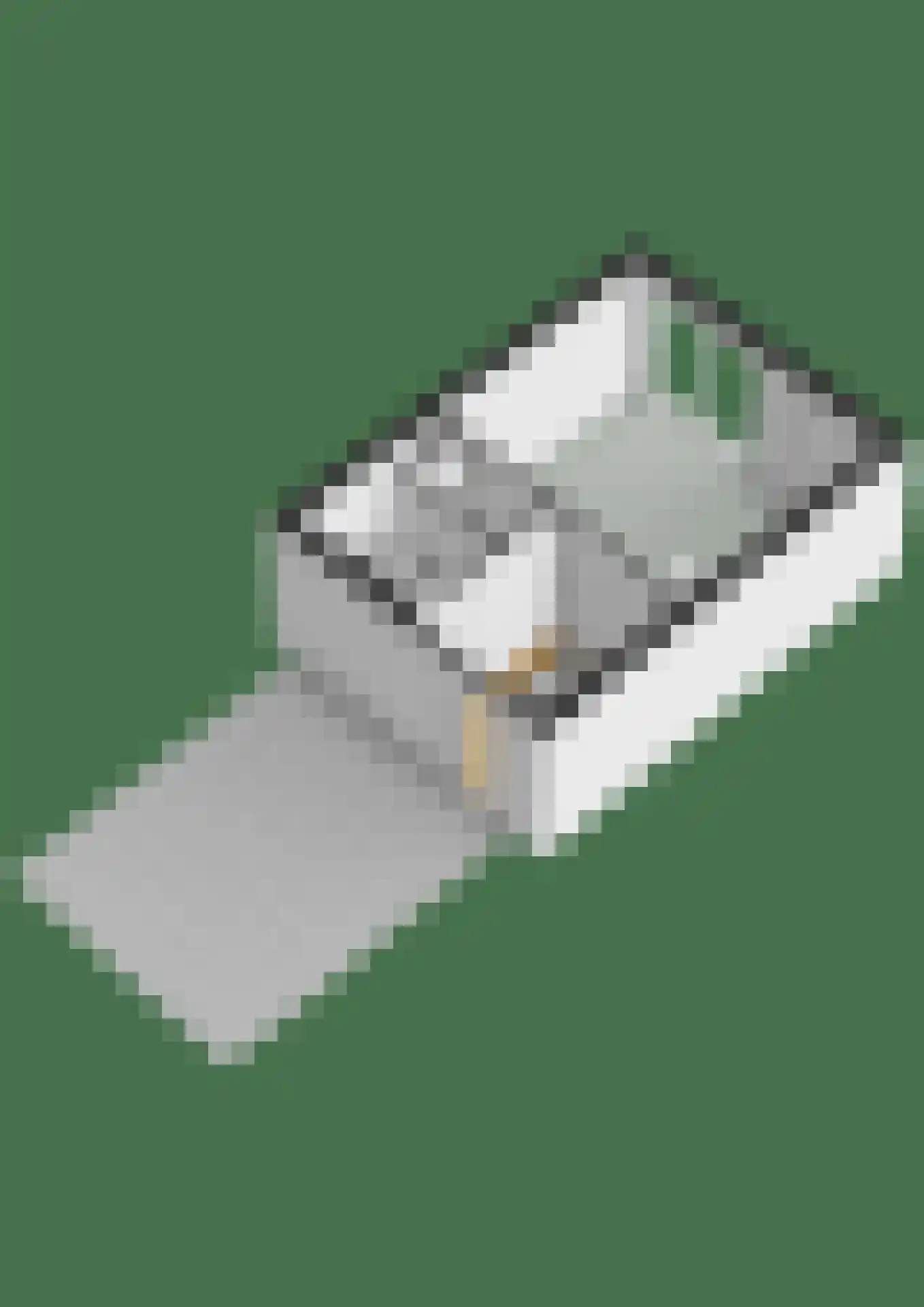 Brugweg 14 Waddinxveen thumbnail 35