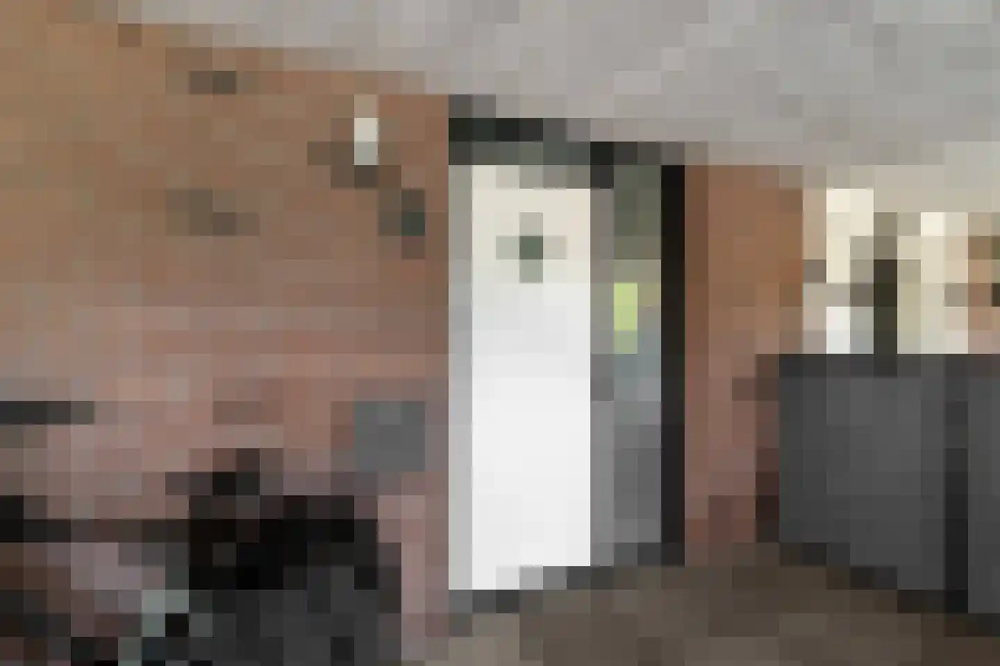 Brugweg 14 Waddinxveen thumbnail 5
