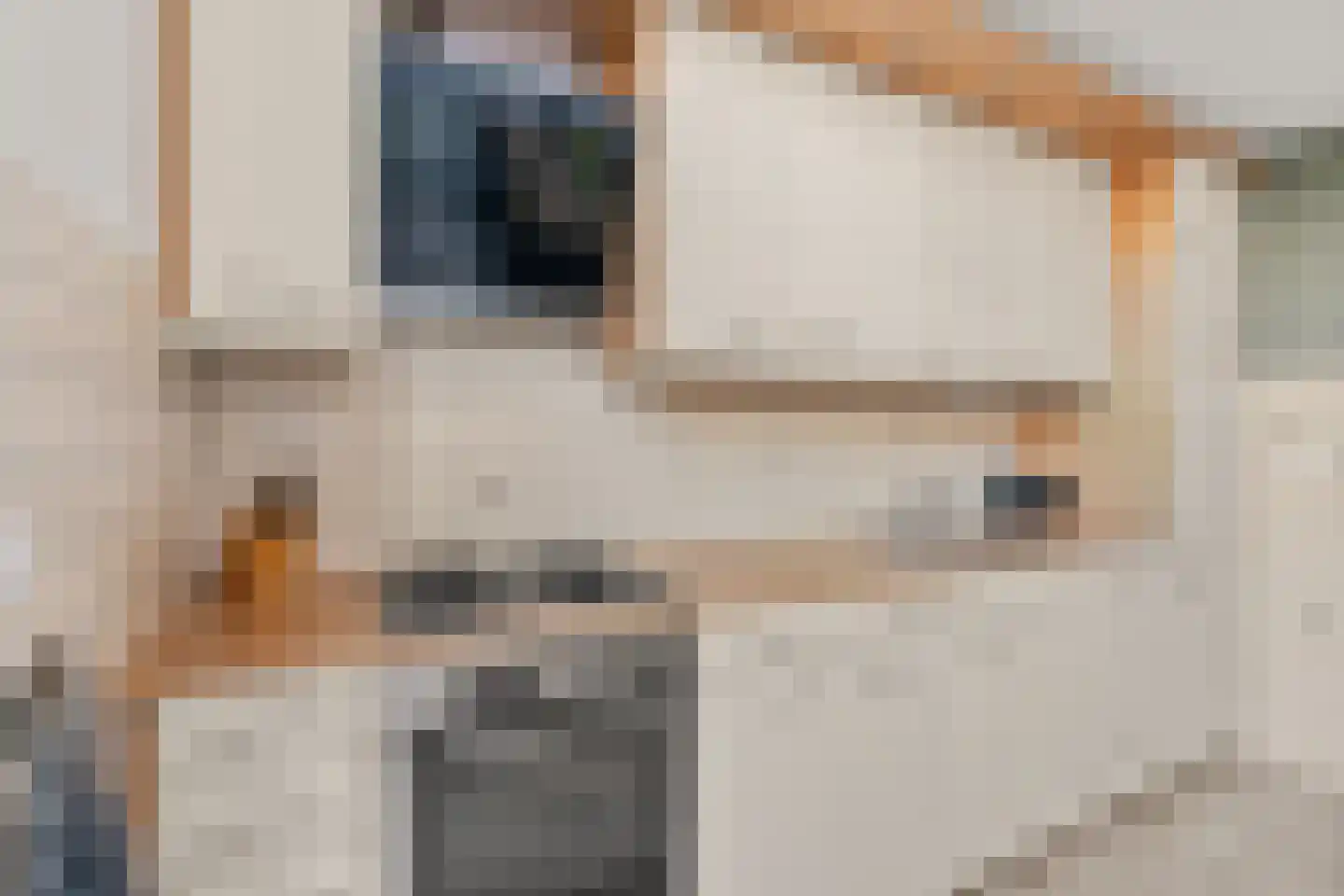 Brugweg 14 Waddinxveen thumbnail 9