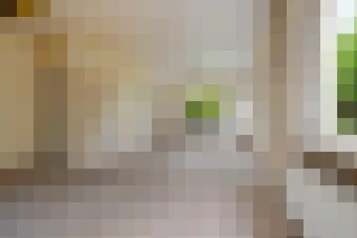 Brugweg 147 Waddinxveen thumbnail 10