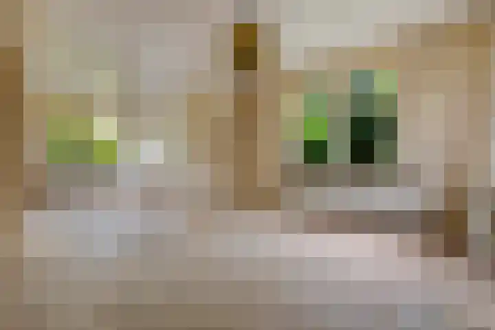 Brugweg 147 Waddinxveen thumbnail 11