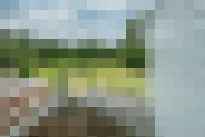 Brugweg 147 Waddinxveen thumbnail 21