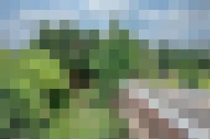 Brugweg 147 Waddinxveen thumbnail 22