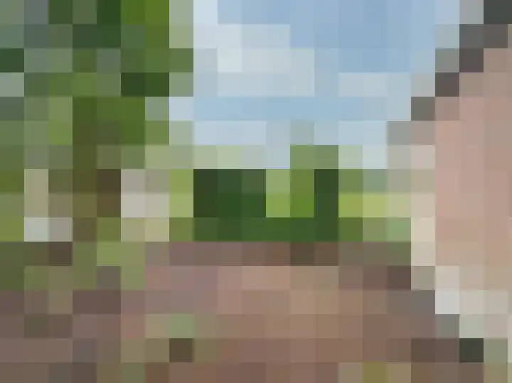 Brugweg 147 Waddinxveen thumbnail 23