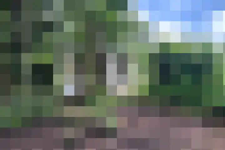 Brugweg 147 Waddinxveen thumbnail 24
