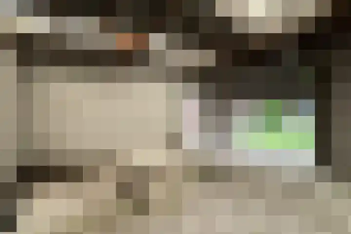 Brugweg 147 Waddinxveen thumbnail 27