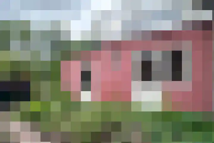 Brugweg 147 Waddinxveen thumbnail 30