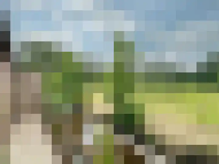 Brugweg 147 Waddinxveen thumbnail 31