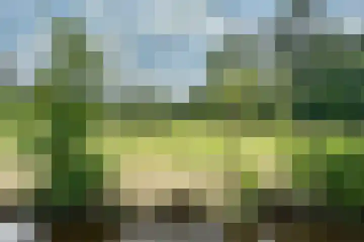 Brugweg 147 Waddinxveen thumbnail 32
