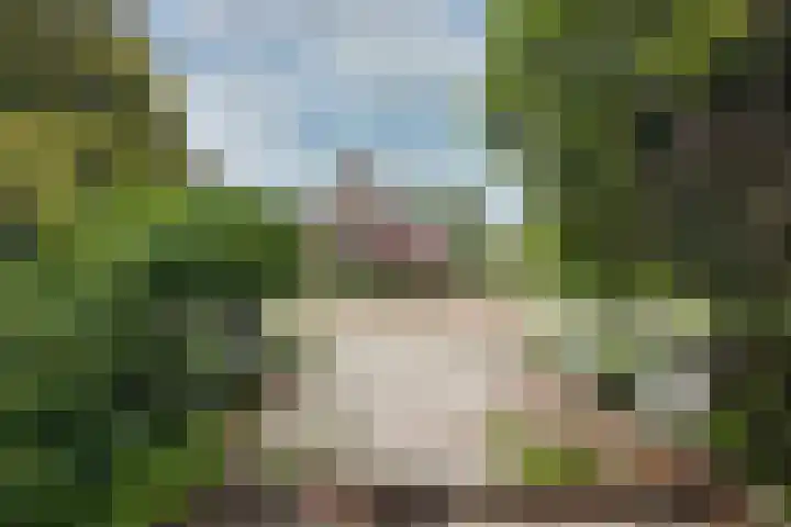 Brugweg 147 Waddinxveen thumbnail 33