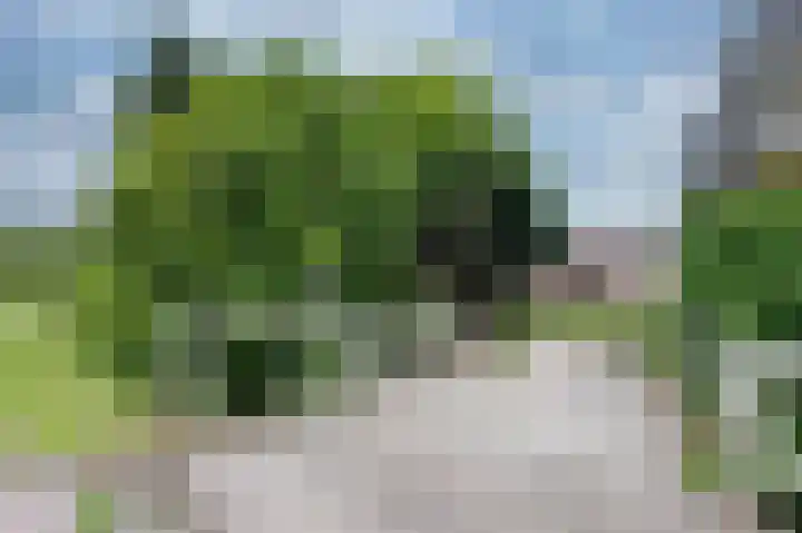 Brugweg 147 Waddinxveen thumbnail 5