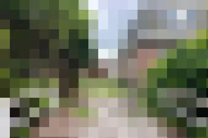 Brugweg 147 Waddinxveen thumbnail 6