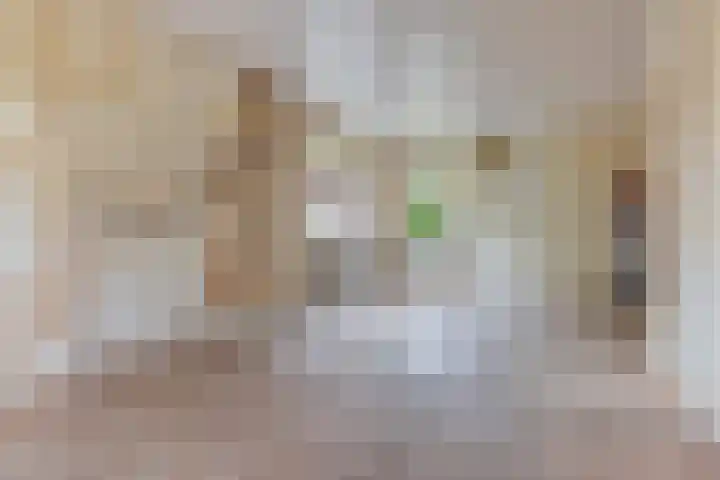 Brugweg 147 Waddinxveen thumbnail 8