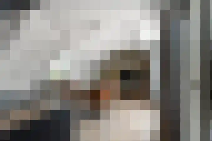Brugweg 17 d Velp thumbnail 11