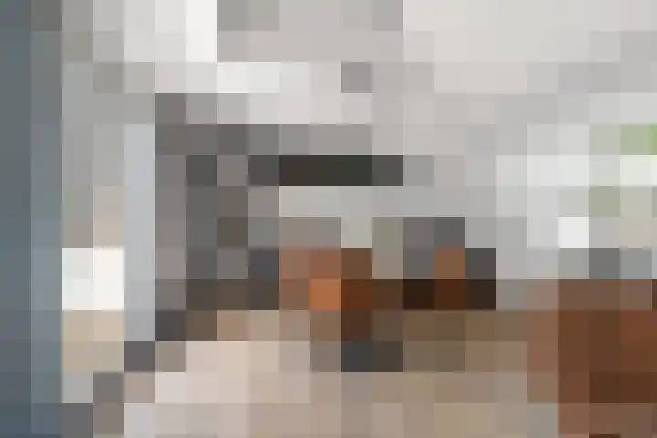 Brugweg 17 d Velp thumbnail 16
