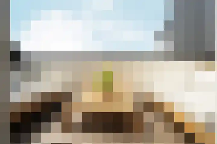 Brugweg 17 d Velp thumbnail 19