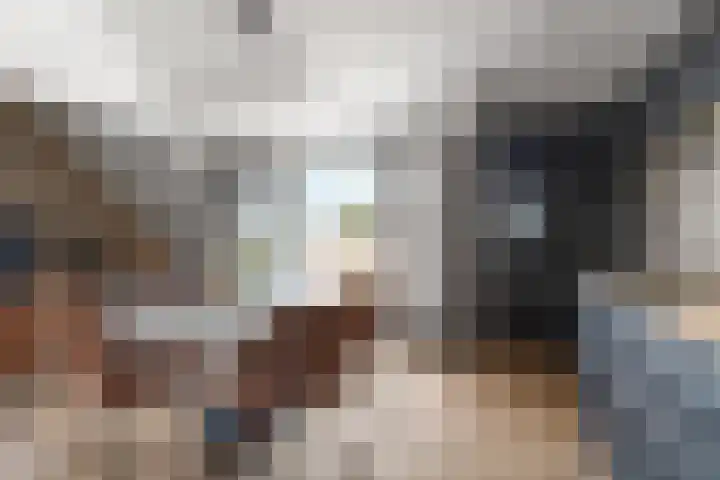 Brugweg 17 d Velp thumbnail 25