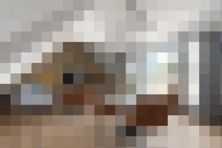 Brugweg 17 d Velp thumbnail 26