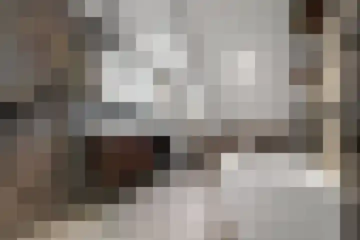 Brugweg 17 d Velp thumbnail 4
