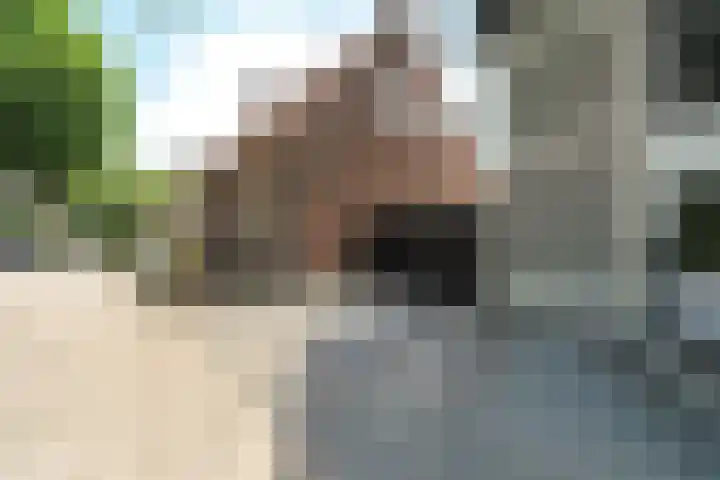 Brugweg 17 d Velp thumbnail 45