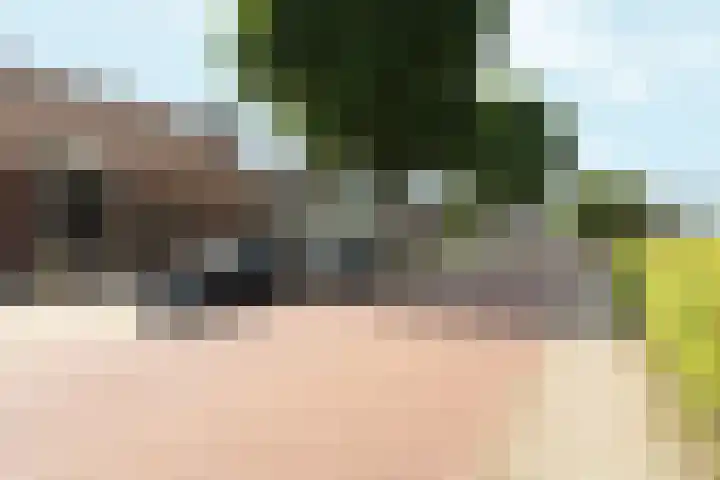 Brugweg 17 d Velp thumbnail 46