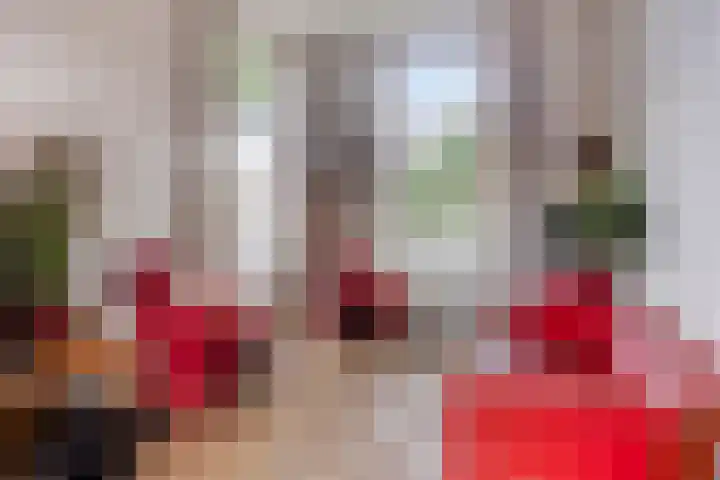 Brugweg 19 Velp thumbnail 11