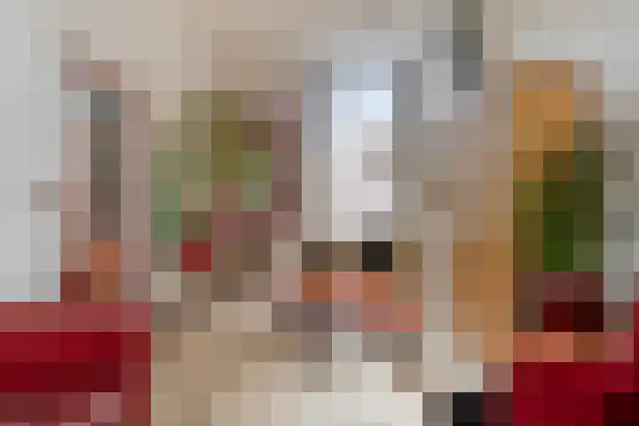 Brugweg 19 Velp thumbnail 12