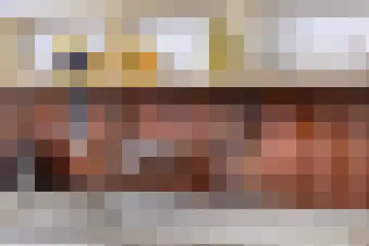 Brugweg 19 Velp thumbnail 20