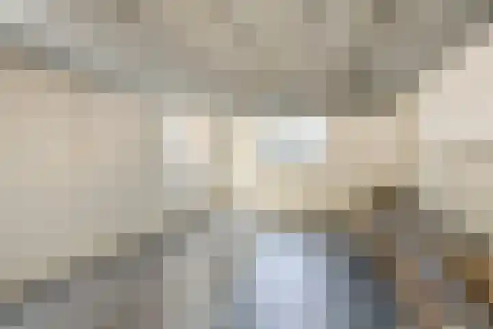 Brugweg 19 Velp thumbnail 34