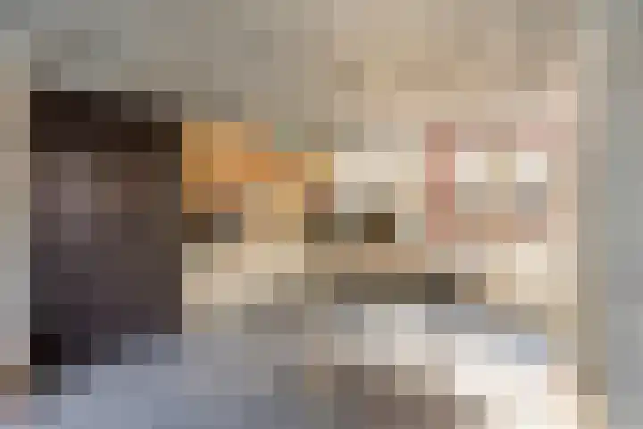 Brugweg 19 Velp thumbnail 35
