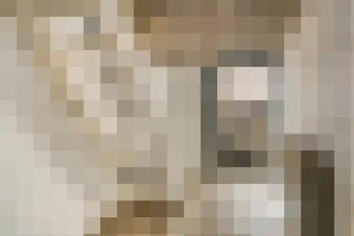 Brugweg 19 Velp thumbnail 37