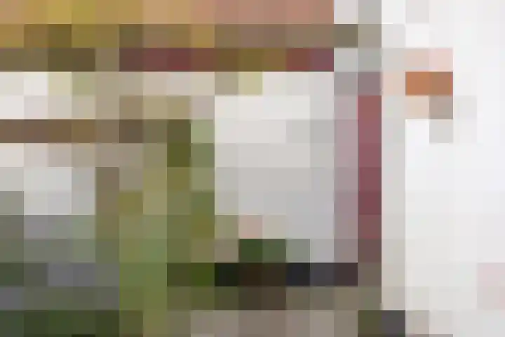 Brugweg 19 Velp thumbnail 41