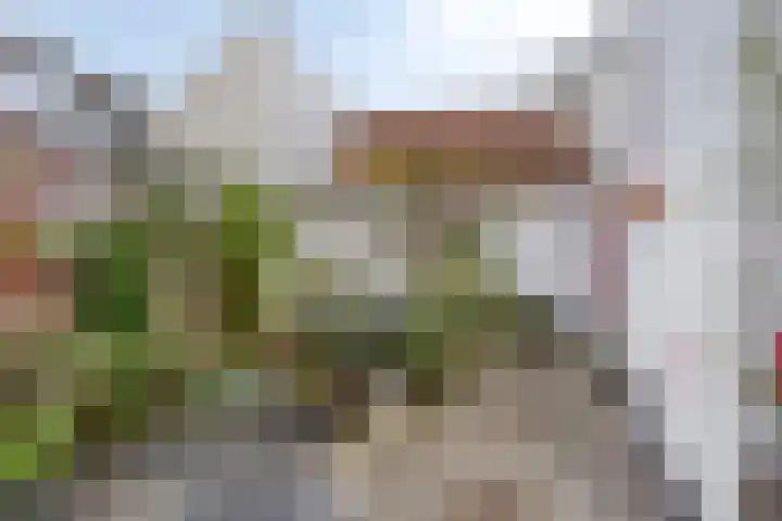 Brugweg 19 Velp thumbnail 42