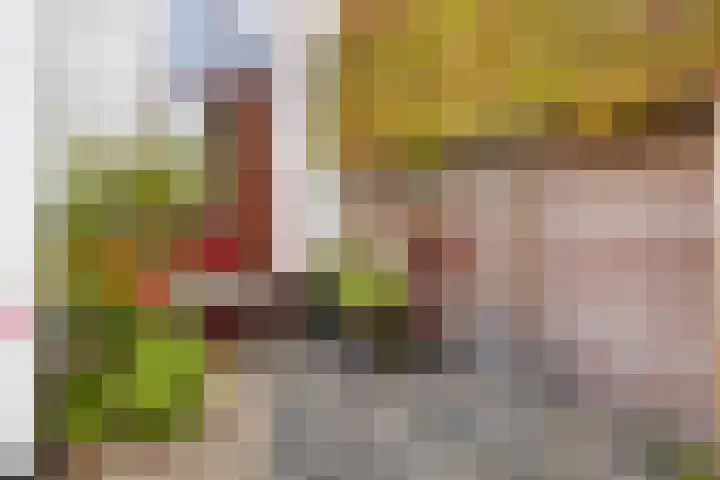 Brugweg 19 Velp thumbnail 44