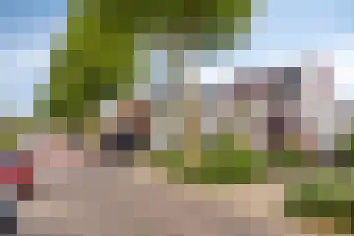 Brugweg 19 Velp thumbnail 5