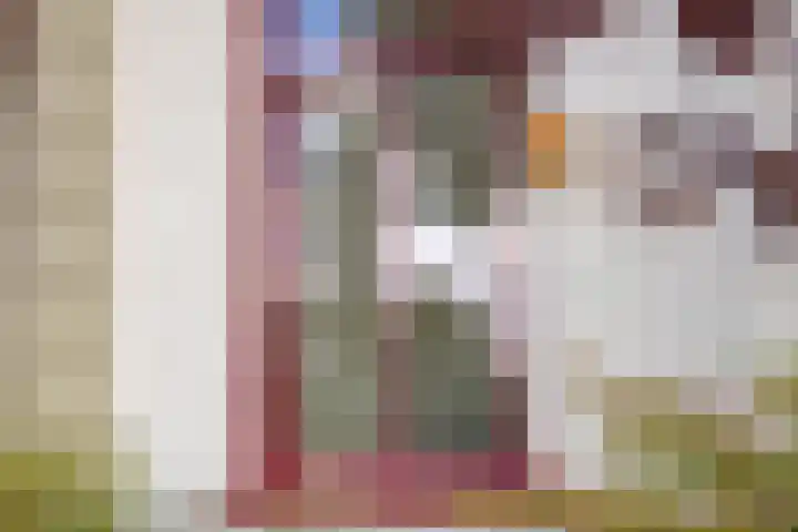 Brugweg 19 Velp thumbnail 7