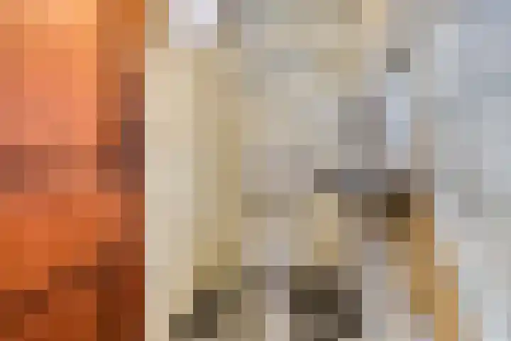 Brugweg 19 Velp thumbnail 9