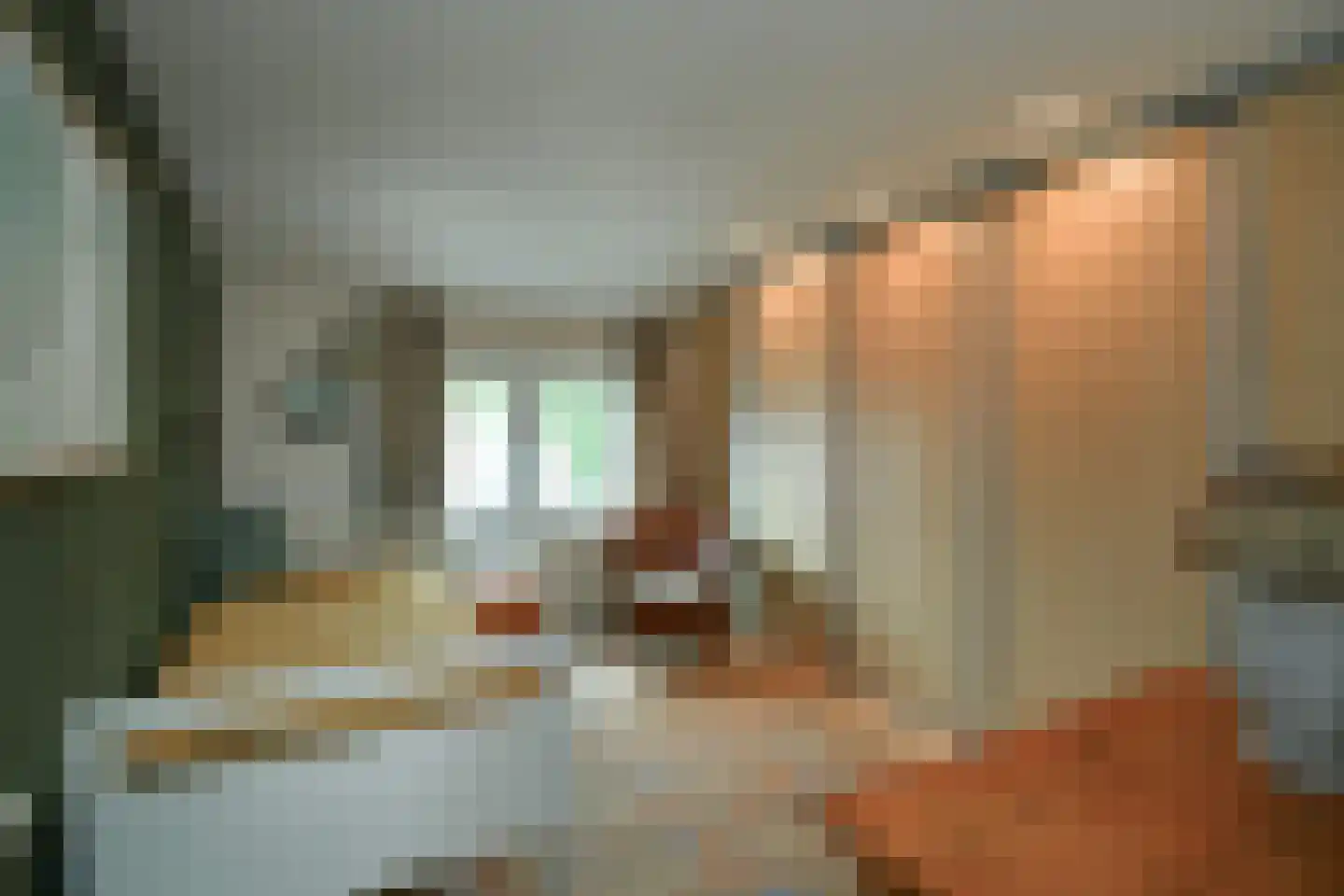 Brugweg 21 Velp thumbnail 18