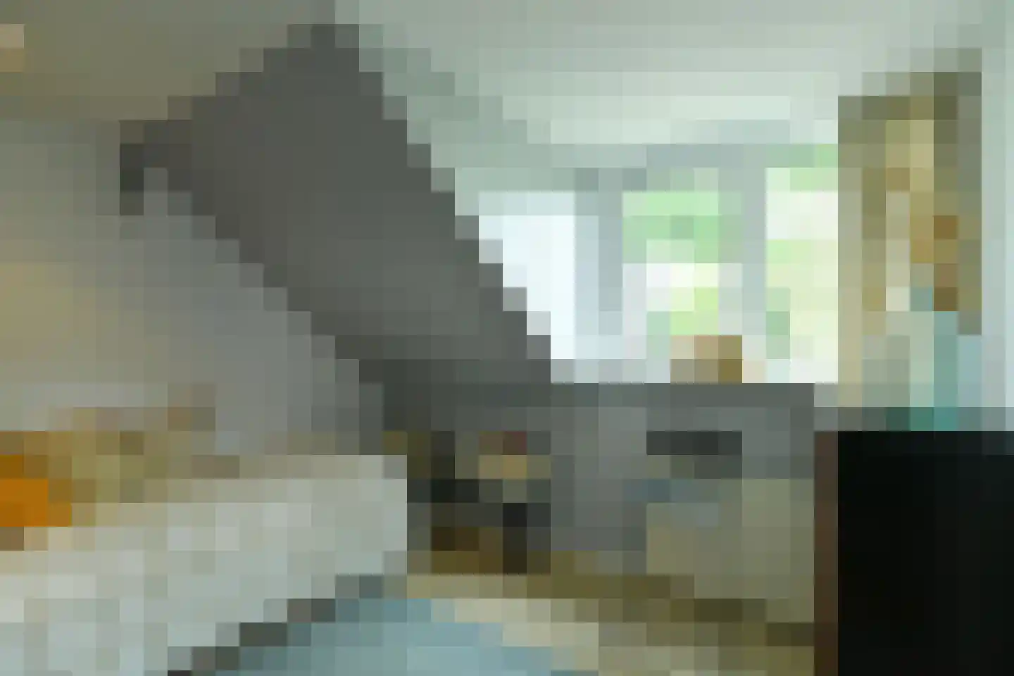 Brugweg 21 Velp thumbnail 19