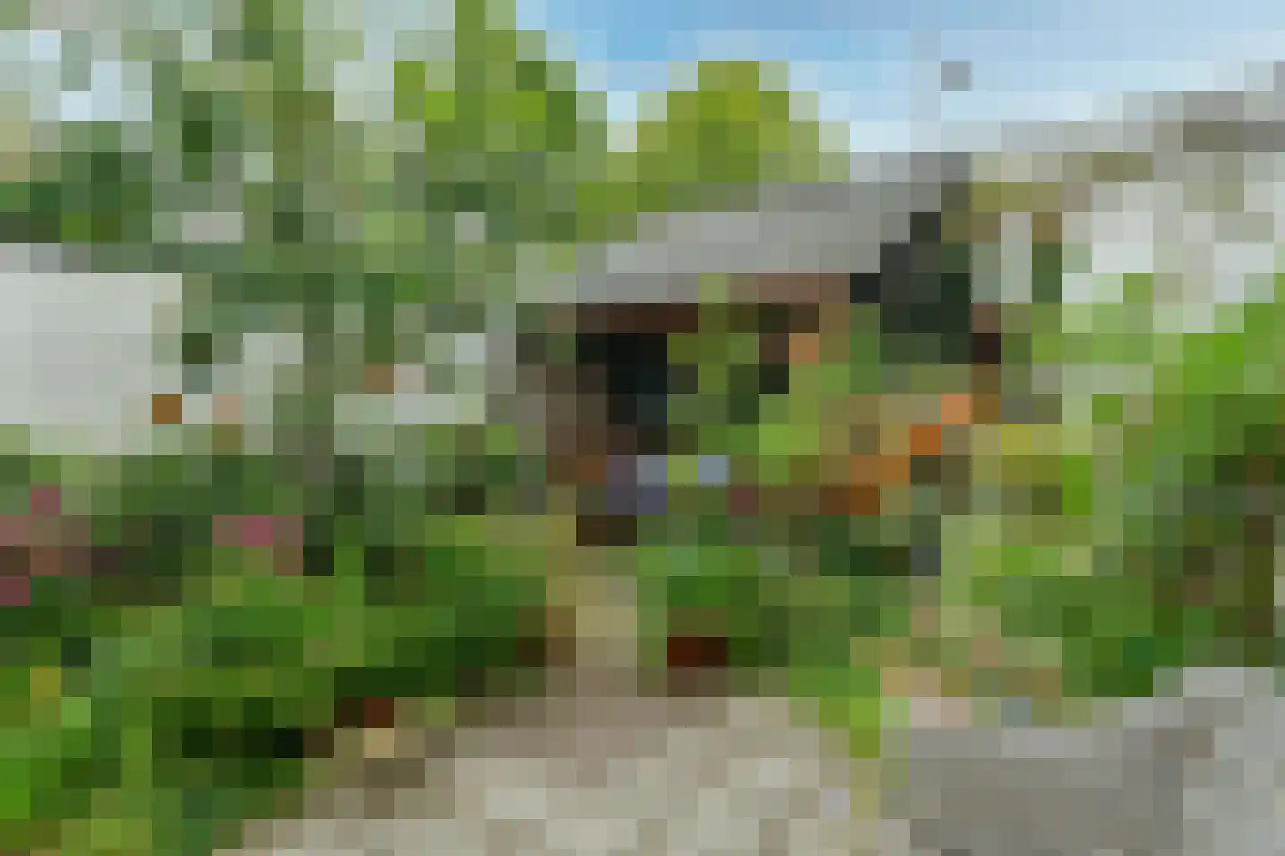 Brugweg 21 Velp thumbnail 25