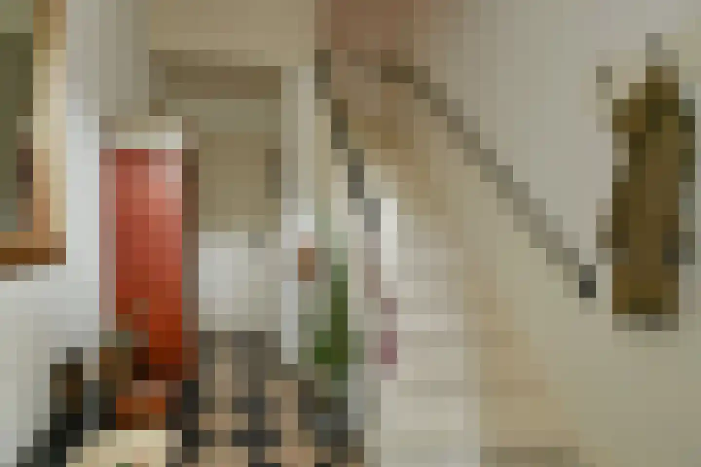 Brugweg 21 Velp thumbnail 7