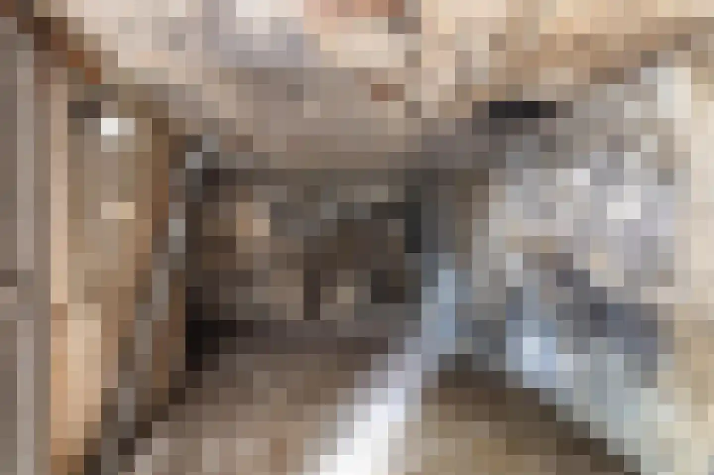 Brugweg 23 Velp thumbnail 14