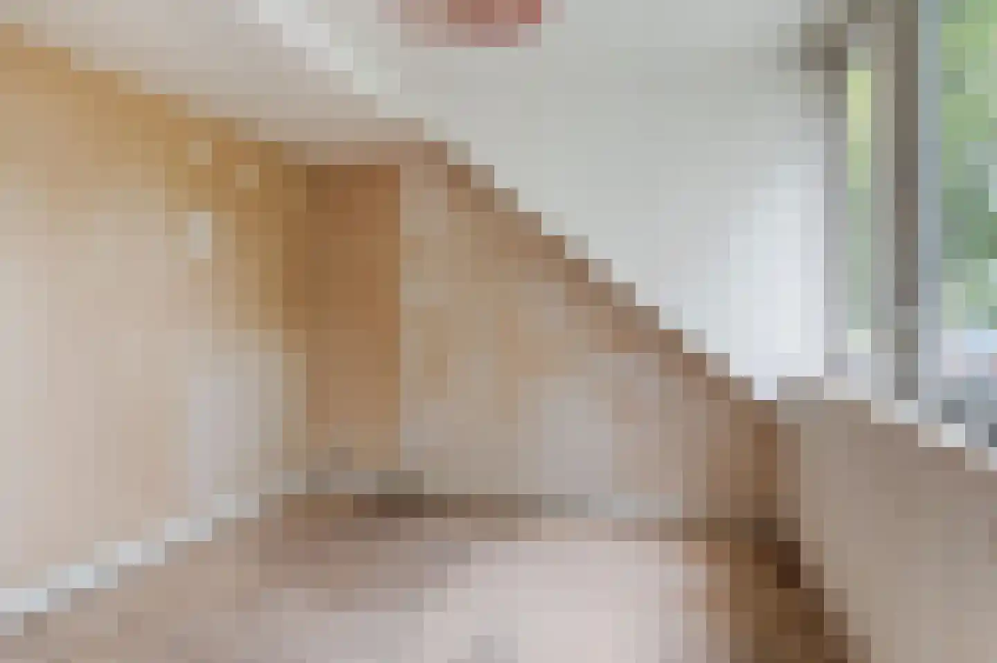 Brugweg 23 Velp thumbnail 18