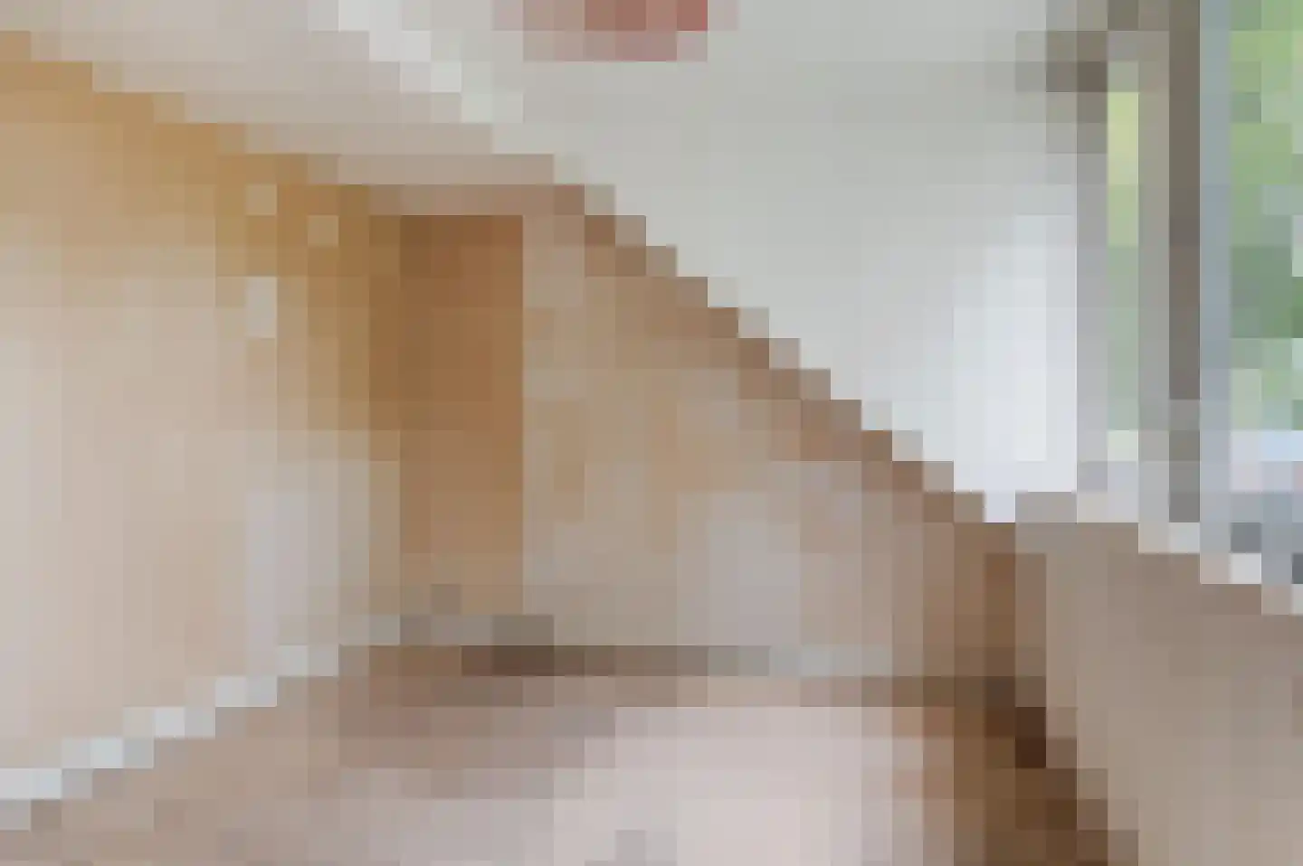 Brugweg 23 Velp thumbnail 19