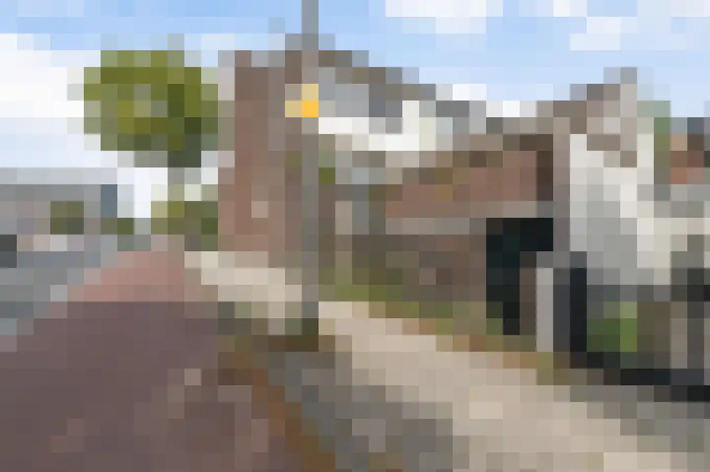 Brugweg 23 Velp thumbnail 22