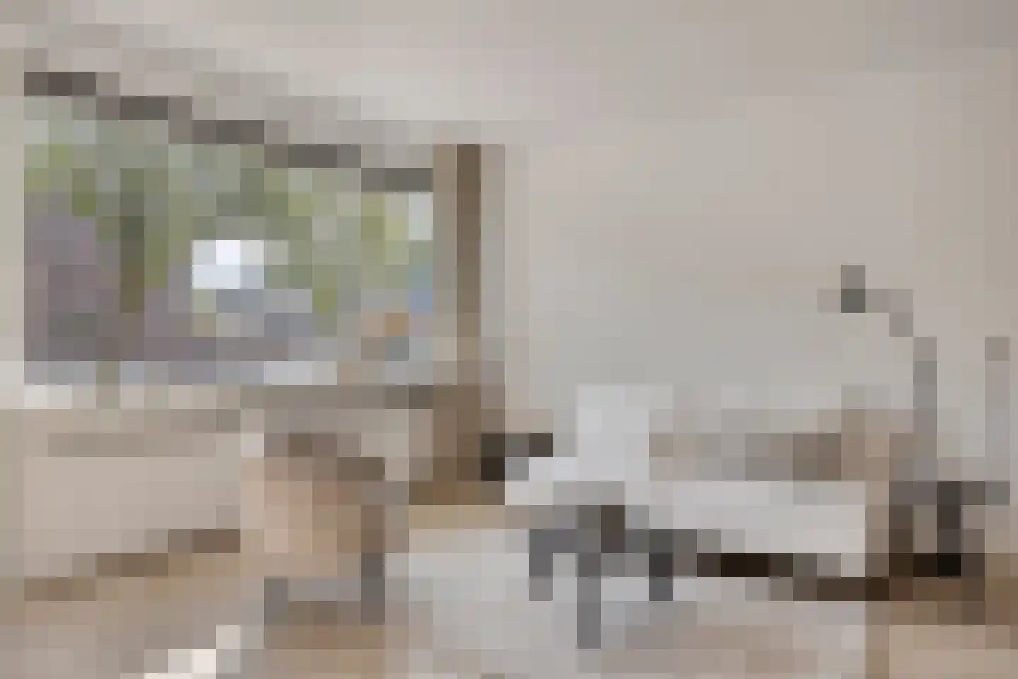 Brugweg 27 Velp thumbnail 11
